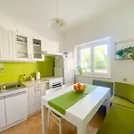 Melisa With Balcony & Free Parking Apartman Dubrovnik