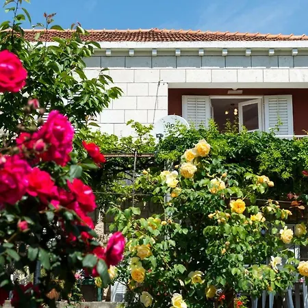 Melisa With Balcony & Free Parking דירה דוברובניק