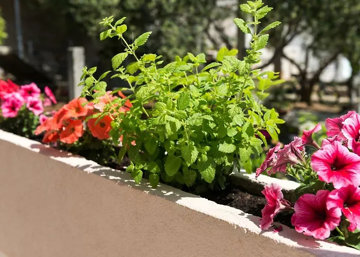 Melisa With Balcony & Free Parking Dubrovnik